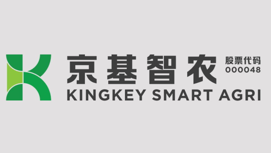姜甲儒见到杨妞花了,香港二四六308kcm文字资料下,广泛的解释落实方法分析_潮流版V8.72